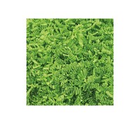 SizzlePak®, carta per riempimento, verde chiara, scatola da 5 kg
